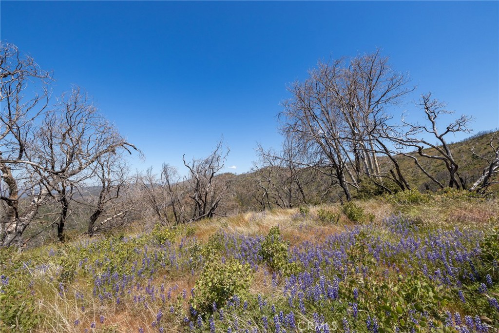 39 Acres Buckingham Mountain Rd, Mariposa, CA 95338
