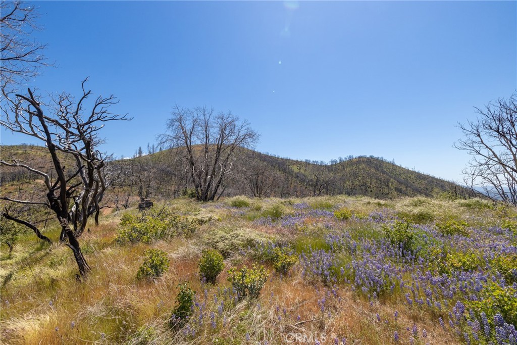 39 Acres Buckingham Mountain Rd, Mariposa, CA 95338