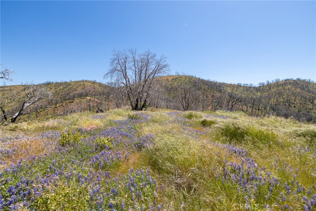 39 Acres Buckingham Mountain Rd, Mariposa, CA 95338