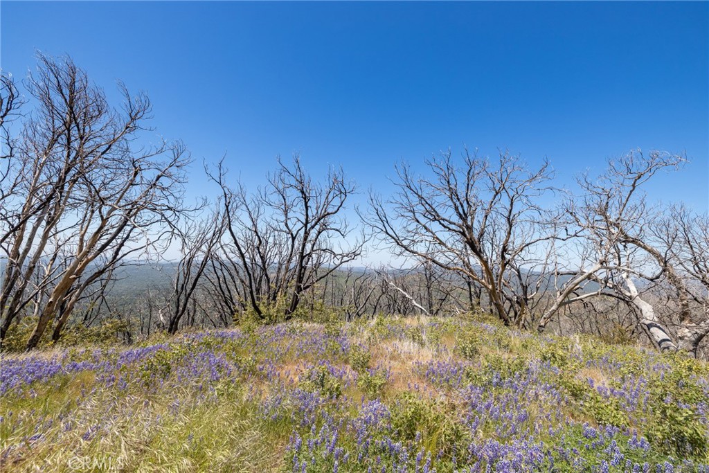 39 Acres Buckingham Mountain Rd, Mariposa, CA 95338