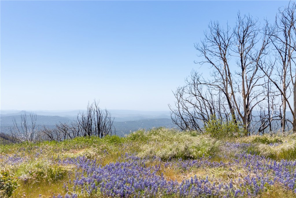 39 Acres Buckingham Mountain Rd, Mariposa, CA 95338