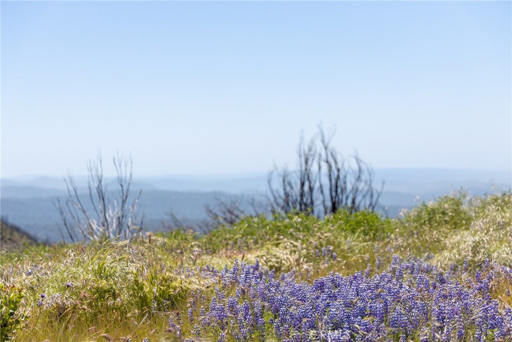 39 Acres Buckingham Mountain Rd, Mariposa, CA 95338