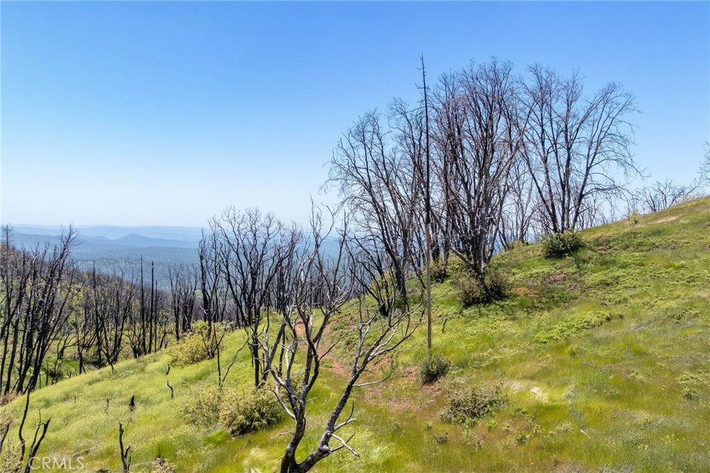39 Acres Buckingham Mountain Rd, Mariposa, CA 95338