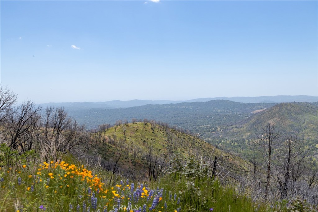 39 Acres Buckingham Mountain Rd, Mariposa, CA 95338