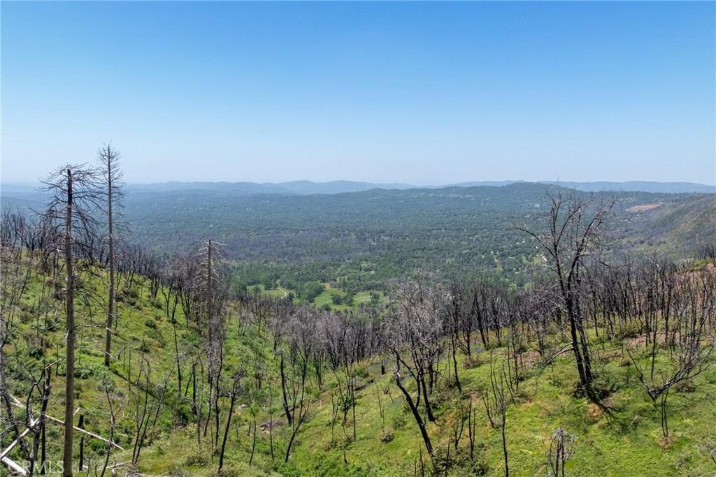 39 Acres Buckingham Mountain Rd, Mariposa, CA 95338