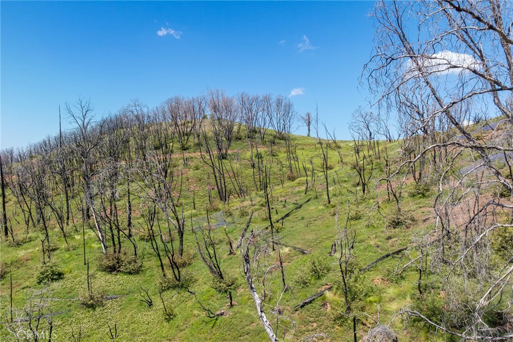 39 Acres Buckingham Mountain Rd, Mariposa, CA 95338