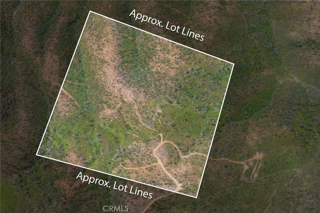 39 Acres Buckingham Mountain Rd, Mariposa, CA 95338