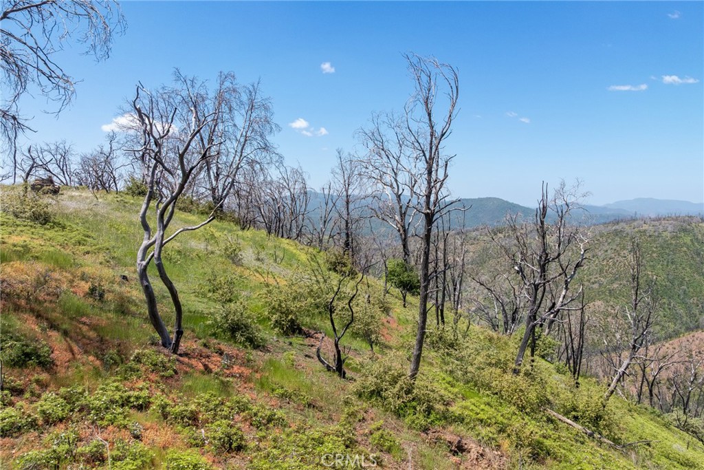 39 Acres Buckingham Mountain Rd, Mariposa, CA 95338