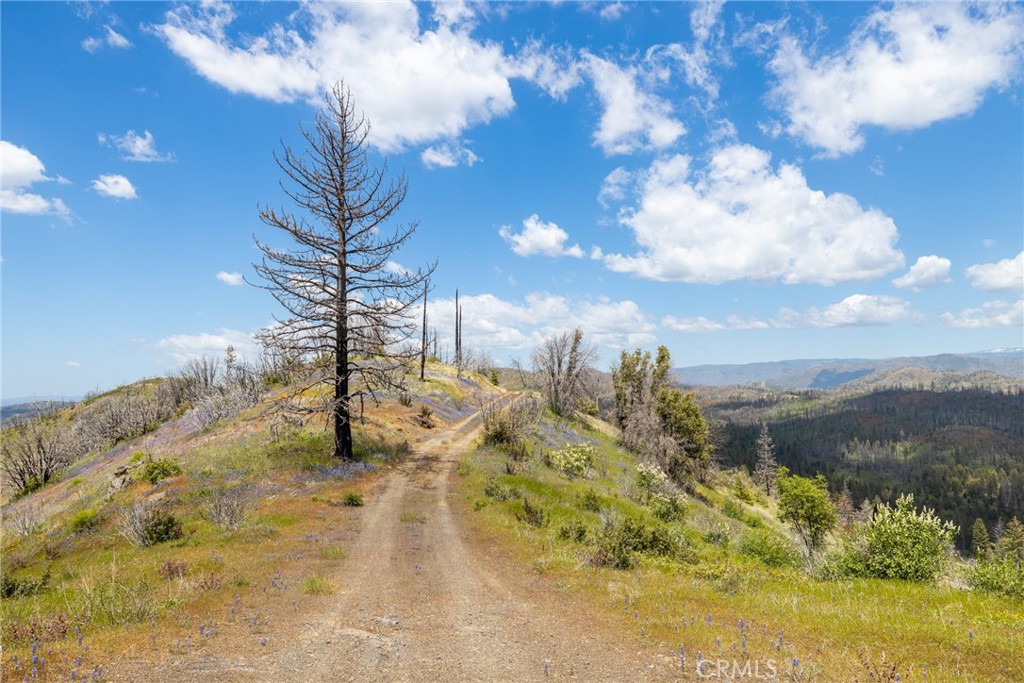 39 Acres Buckingham Mountain Rd, Mariposa, CA 95338