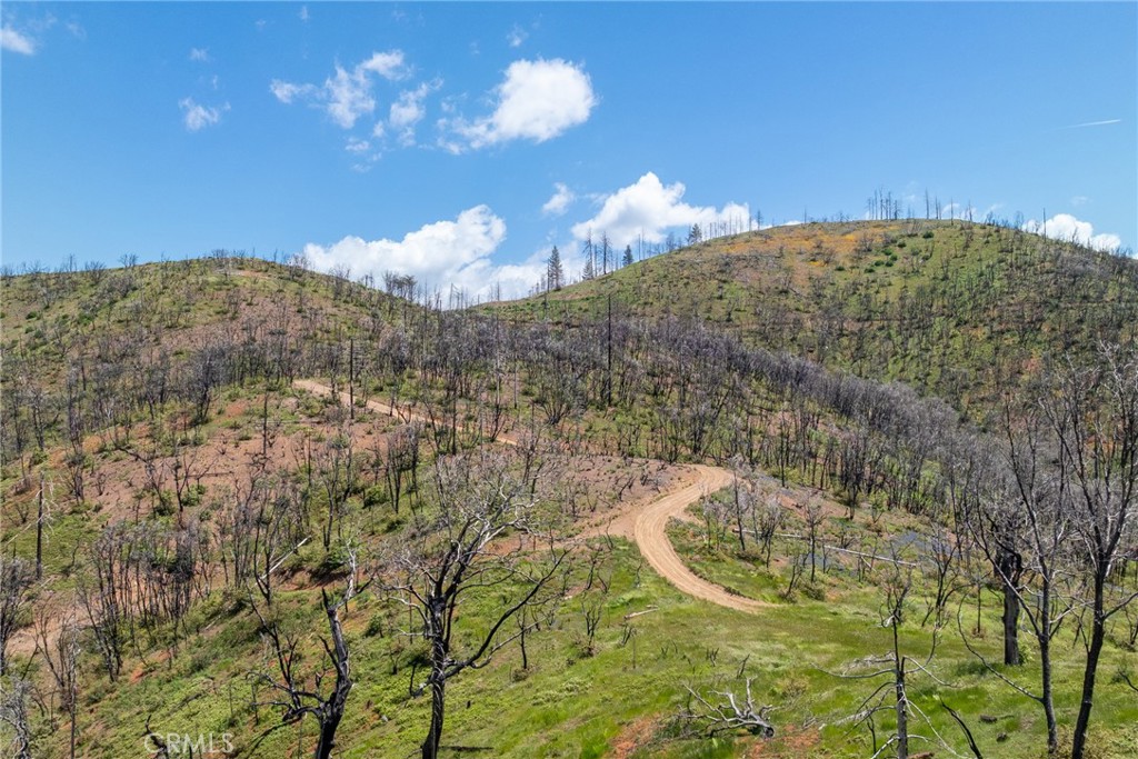 39 Acres Buckingham Mountain Rd, Mariposa, CA 95338