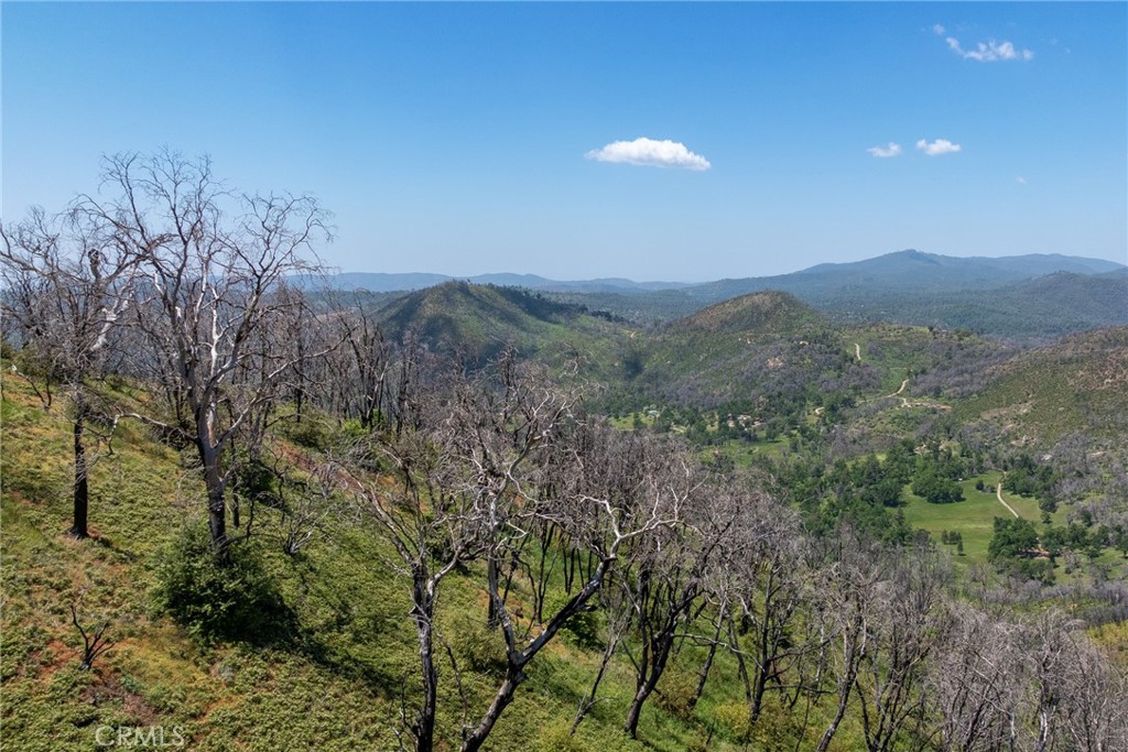 39 Acres Buckingham Mountain Rd, Mariposa, CA 95338