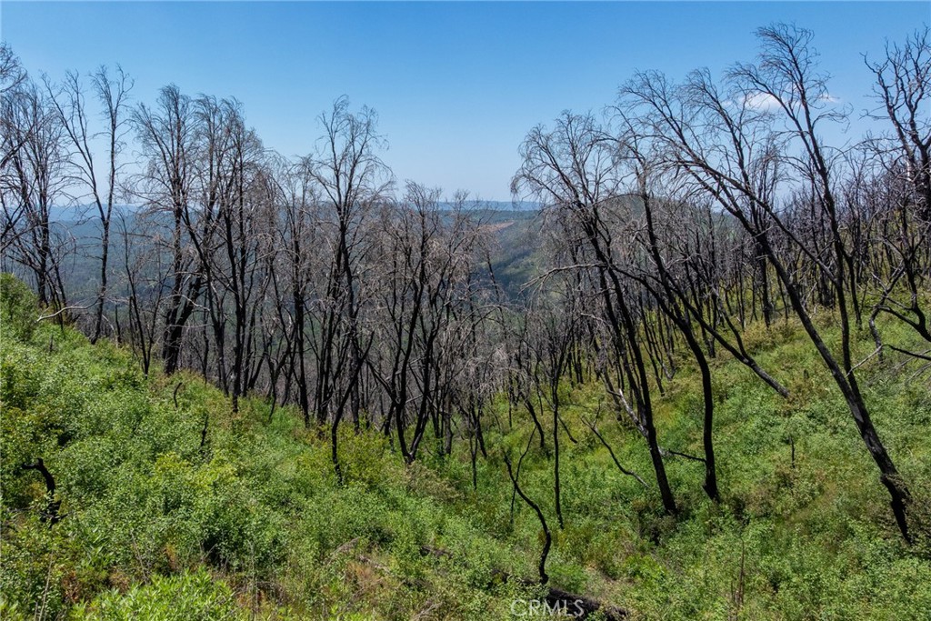 39 Acres Buckingham Mountain Rd, Mariposa, CA 95338