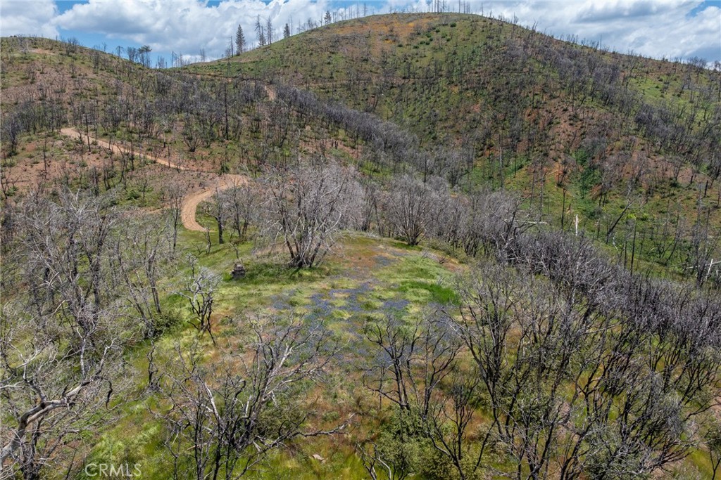 39 Acres Buckingham Mountain Rd, Mariposa, CA 95338