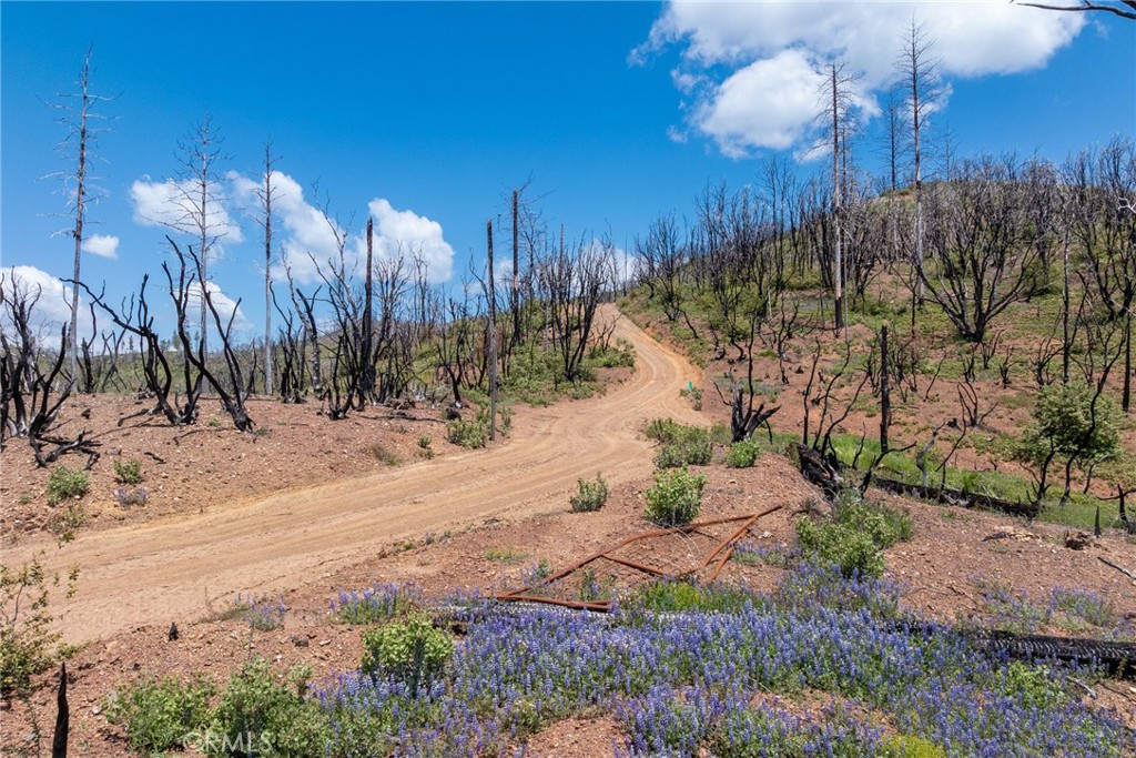 39 Acres Buckingham Mountain Rd, Mariposa, CA 95338