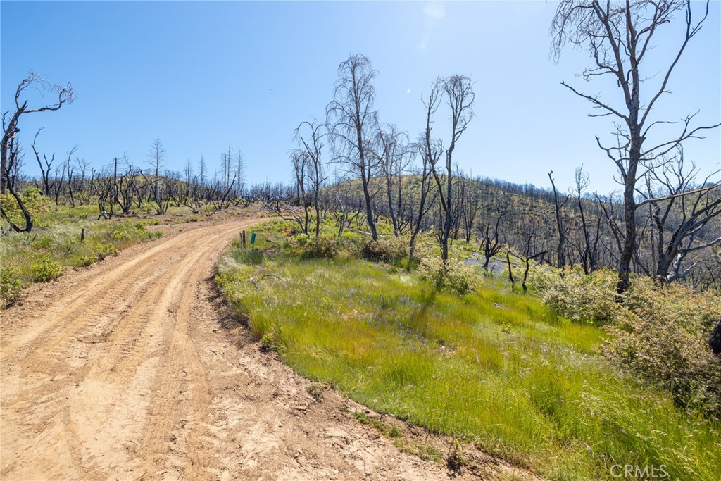 39 Acres Buckingham Mountain Rd, Mariposa, CA 95338