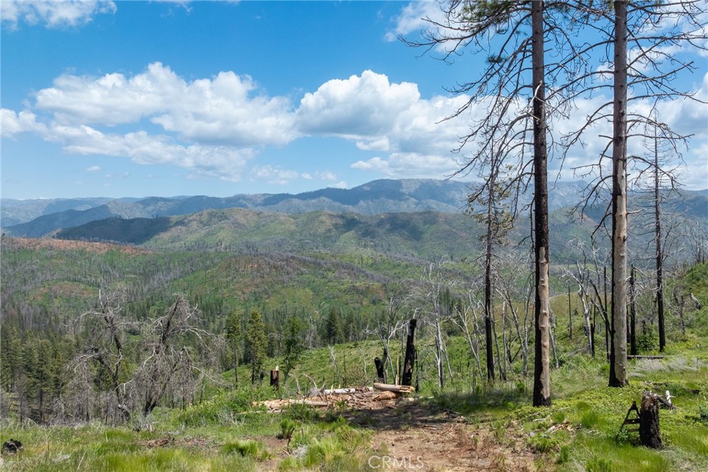 39 Acres Buckingham Mountain Rd, Mariposa, CA 95338