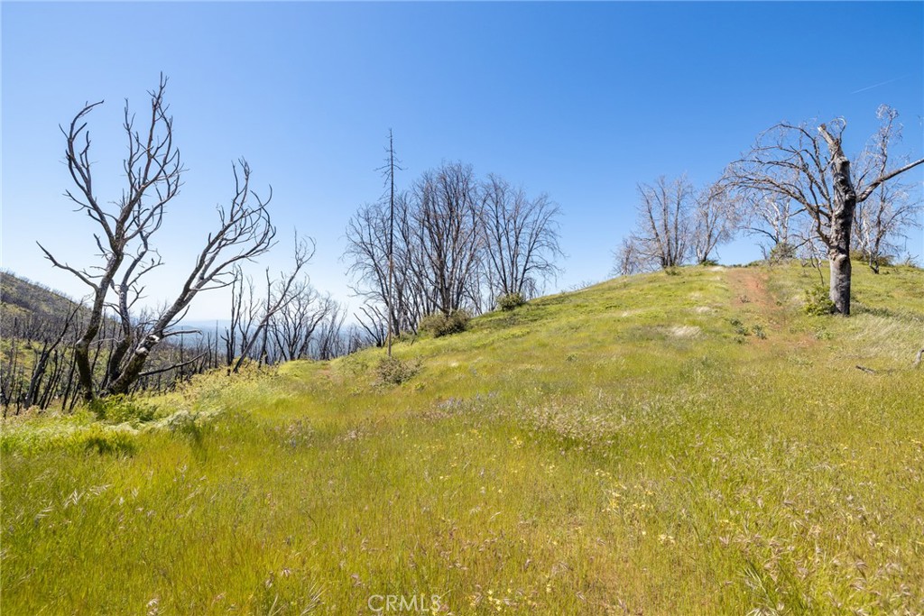 39 Acres Buckingham Mountain Rd, Mariposa, CA 95338