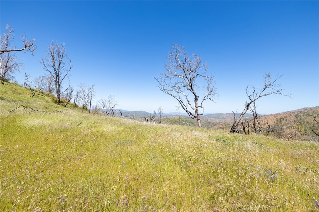 39 Acres Buckingham Mountain Rd, Mariposa, CA 95338