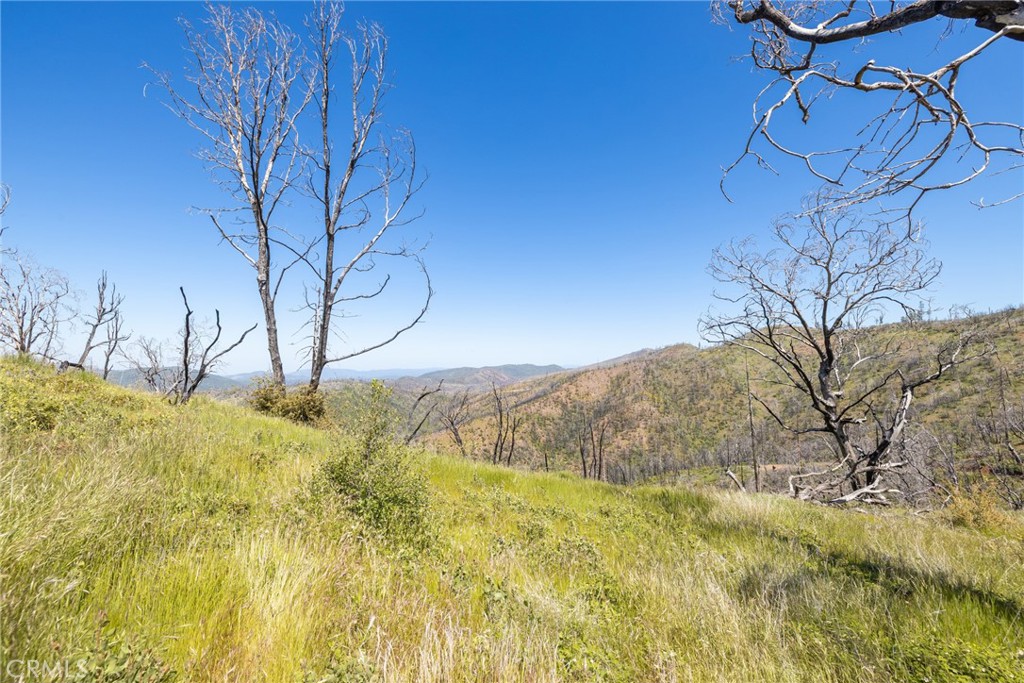 39 Acres Buckingham Mountain Rd, Mariposa, CA 95338