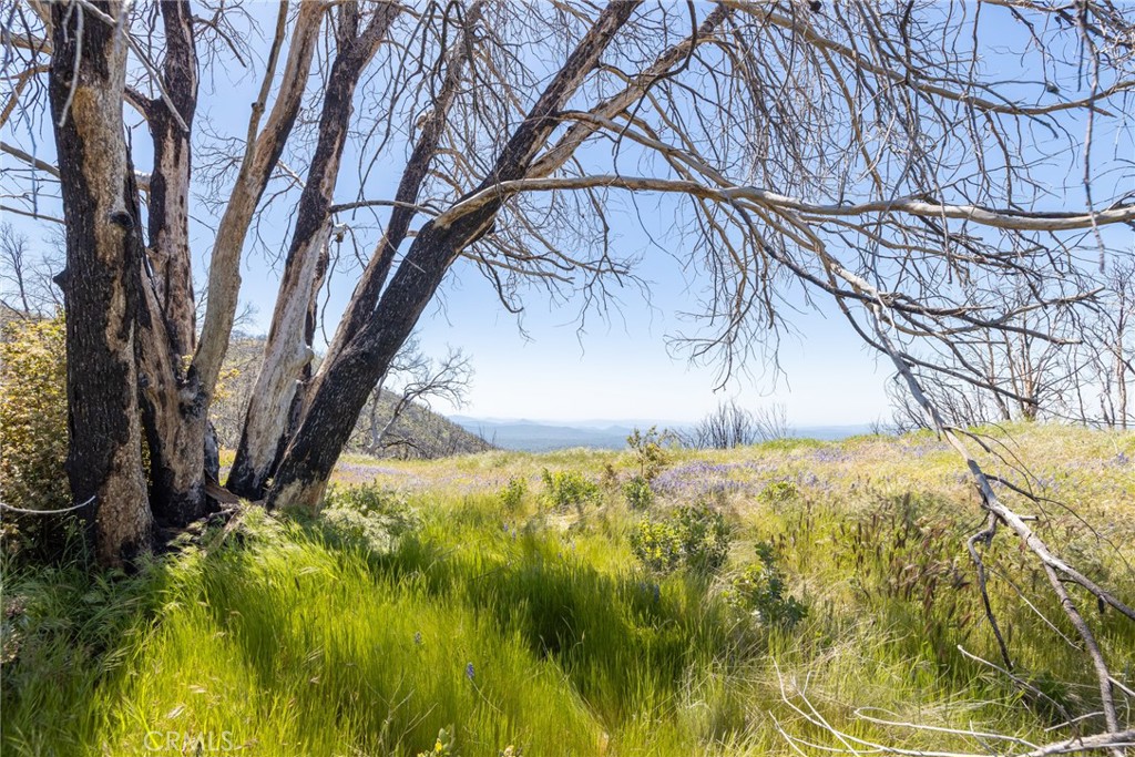 39 Acres Buckingham Mountain Rd, Mariposa, CA 95338