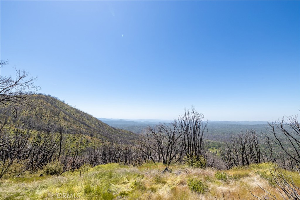 39 Acres Buckingham Mountain Rd, Mariposa, CA 95338