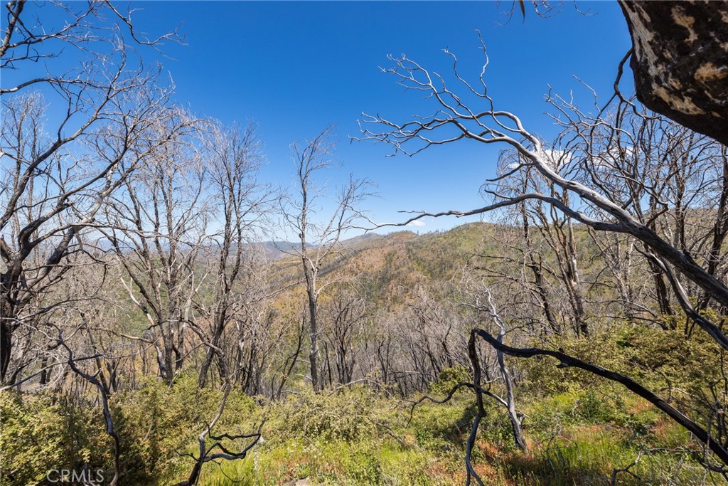 39 Acres Buckingham Mountain Rd, Mariposa, CA 95338
