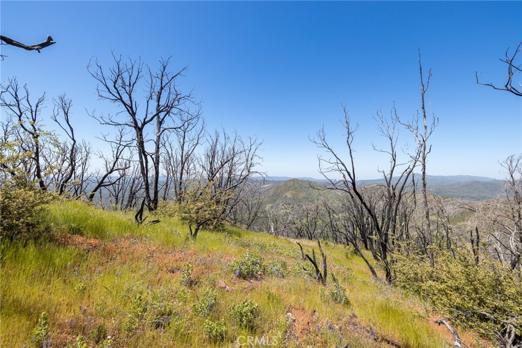 39 Acres Buckingham Mountain Rd, Mariposa, CA 95338