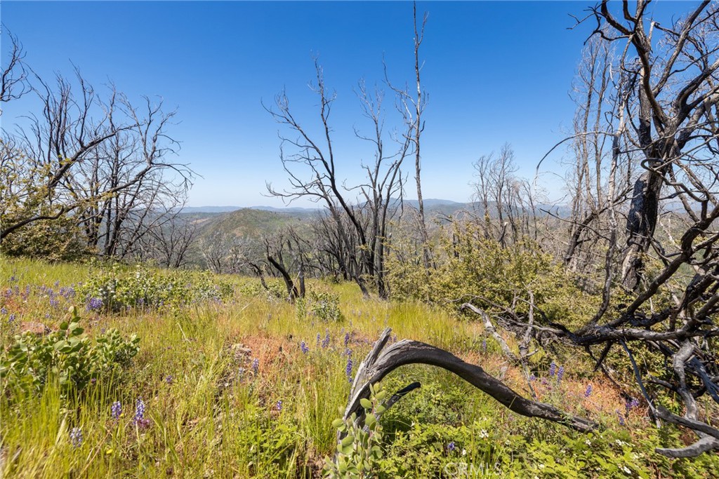 39 Acres Buckingham Mountain Rd, Mariposa, CA 95338