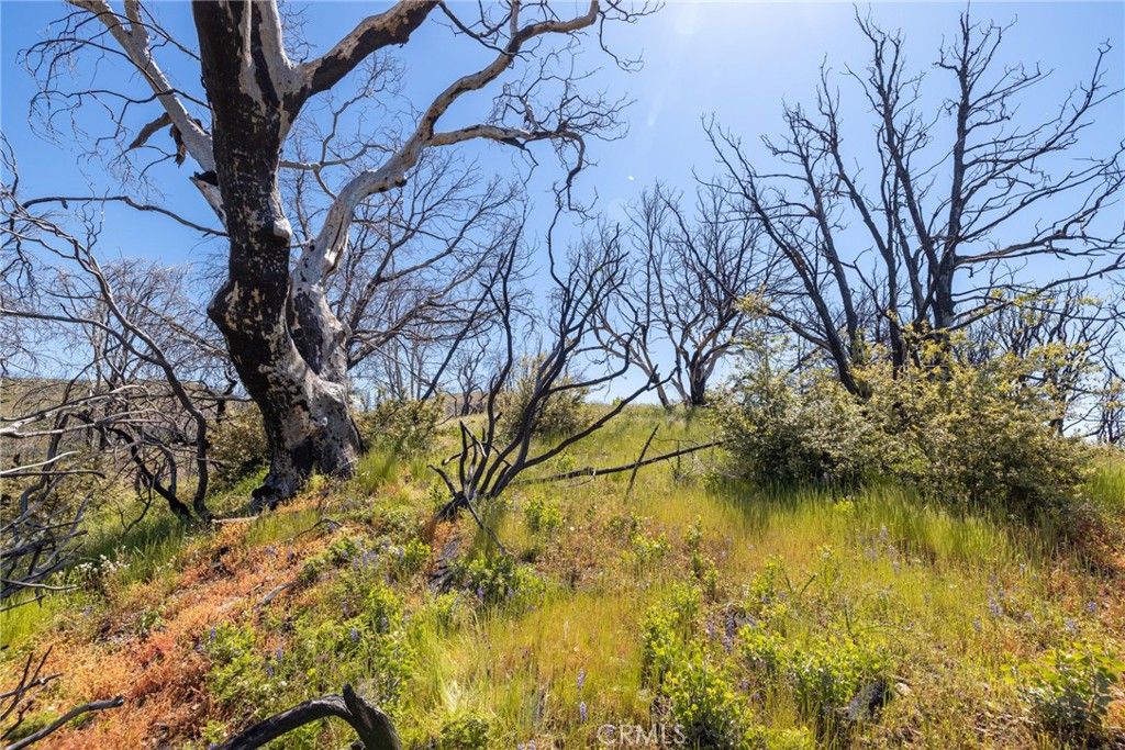 39 Acres Buckingham Mountain Rd, Mariposa, CA 95338