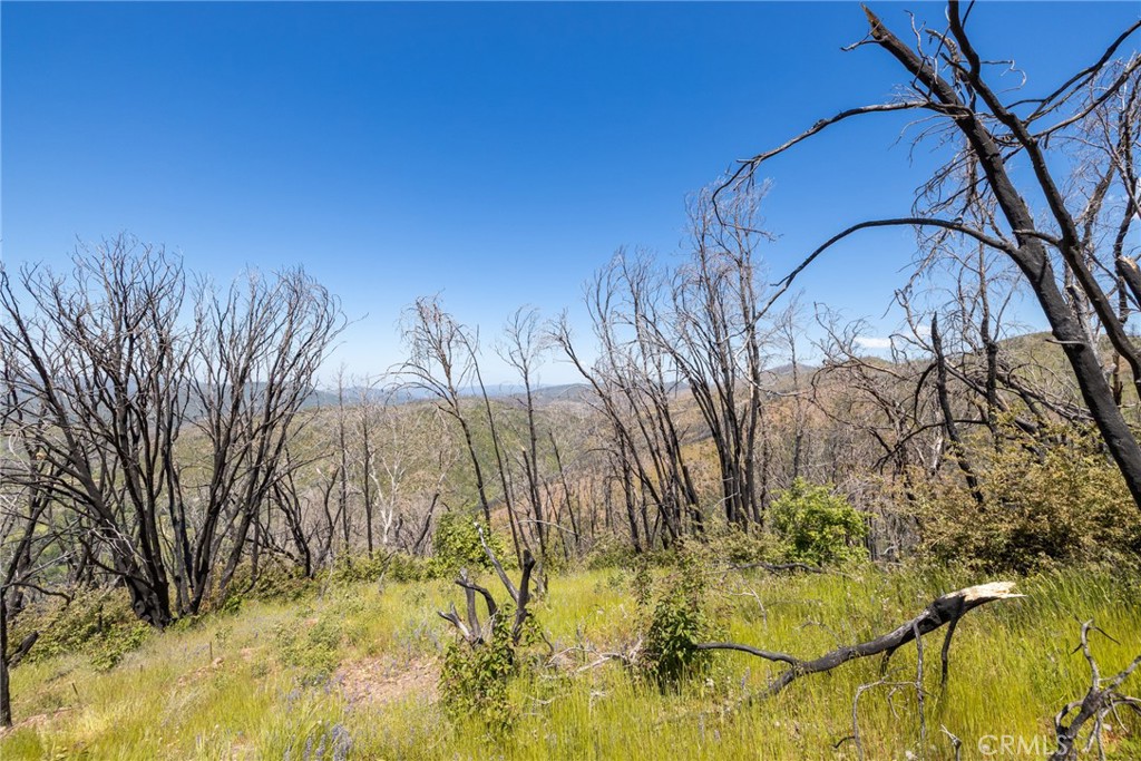 39 Acres Buckingham Mountain Rd, Mariposa, CA 95338