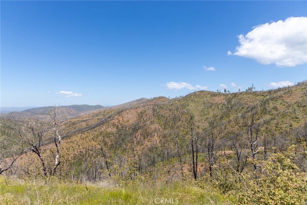 39 Acres Buckingham Mountain Rd, Mariposa, CA 95338