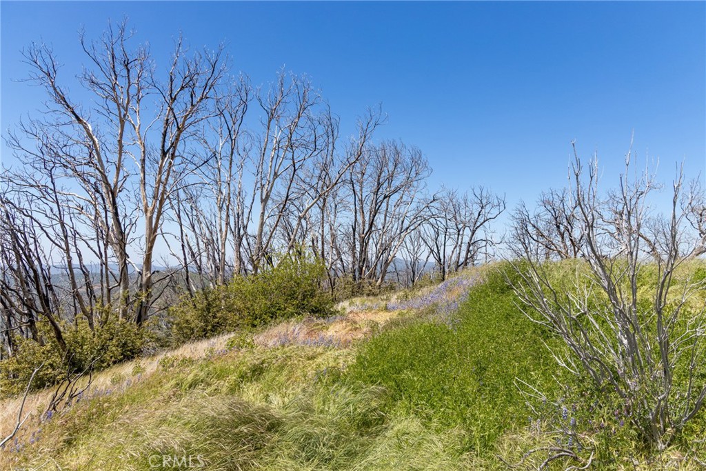 39 Acres Buckingham Mountain Rd, Mariposa, CA 95338