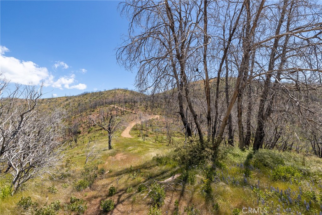 39 Acres Buckingham Mountain Rd, Mariposa, CA 95338