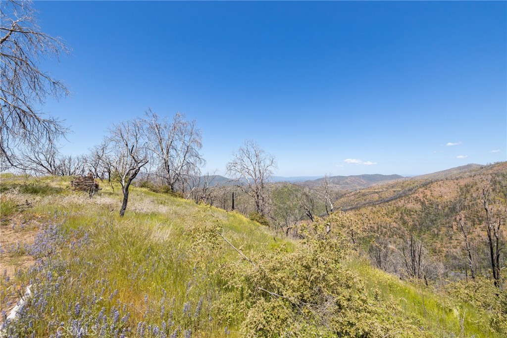 39 Acres Buckingham Mountain Rd, Mariposa, CA 95338