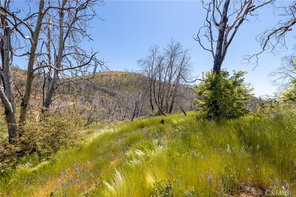 39 Acres Buckingham Mountain Rd, Mariposa, CA 95338