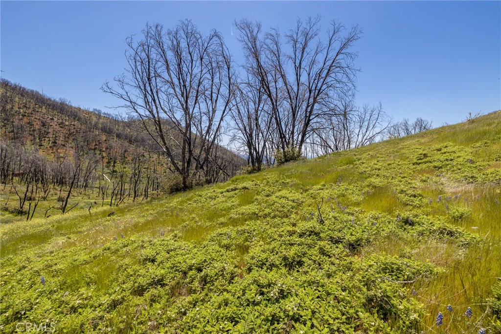 39 Acres Buckingham Mountain Rd, Mariposa, CA 95338