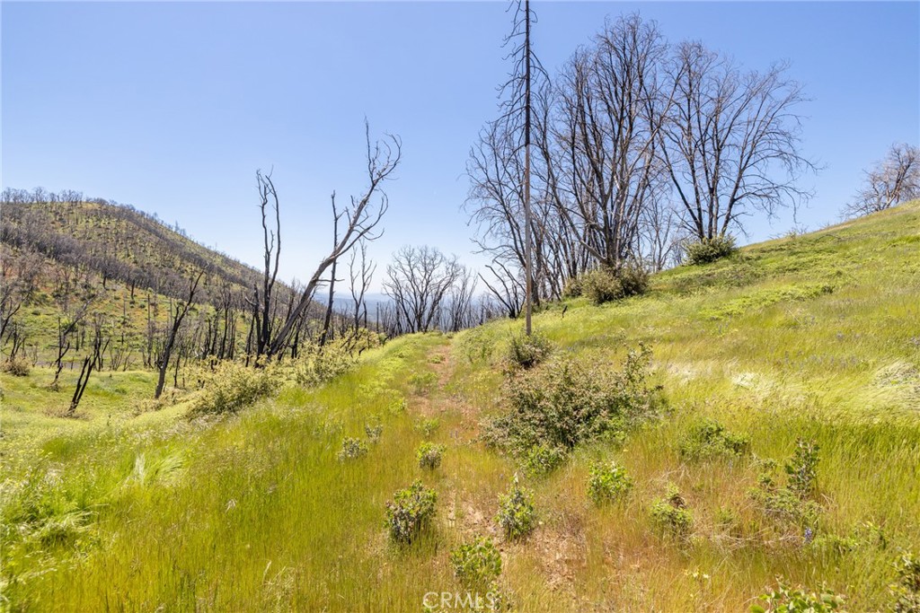 39 Acres Buckingham Mountain Rd, Mariposa, CA 95338