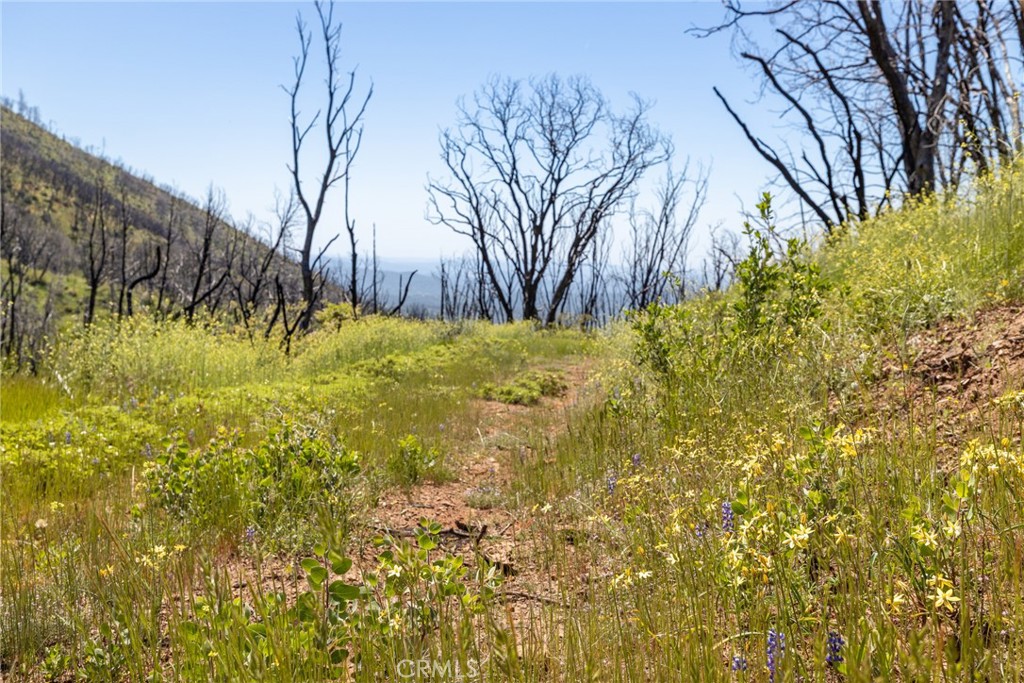 39 Acres Buckingham Mountain Rd, Mariposa, CA 95338