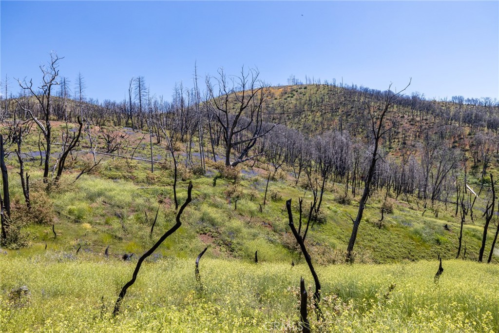 39 Acres Buckingham Mountain Rd, Mariposa, CA 95338