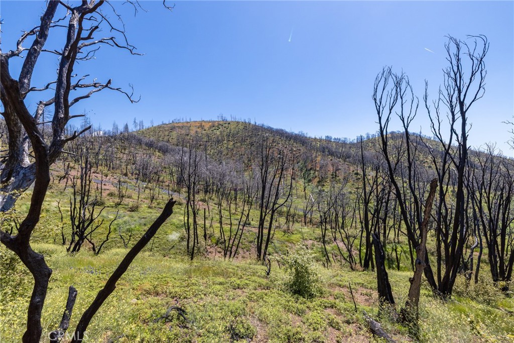 39 Acres Buckingham Mountain Rd, Mariposa, CA 95338