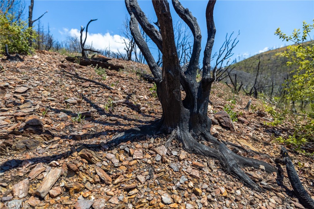 39 Acres Buckingham Mountain Rd, Mariposa, CA 95338