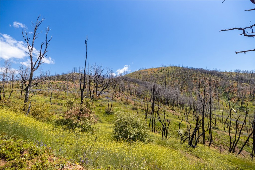 39 Acres Buckingham Mountain Rd, Mariposa, CA 95338