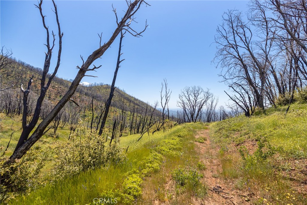 39 Acres Buckingham Mountain Rd, Mariposa, CA 95338