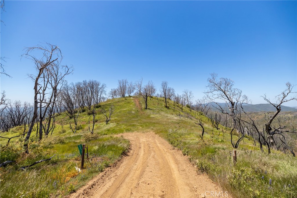 39 Acres Buckingham Mountain Rd, Mariposa, CA 95338