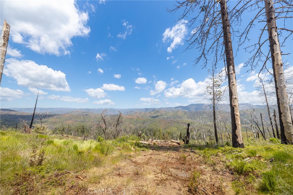 39 Acres Buckingham Mountain Rd, Mariposa, CA 95338