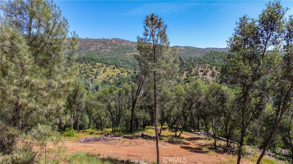 10 Miller Road, Mariposa, CA 95338