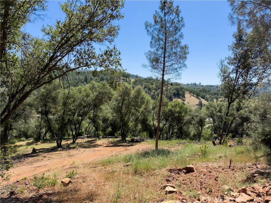10 Miller Road, Mariposa, CA 95338