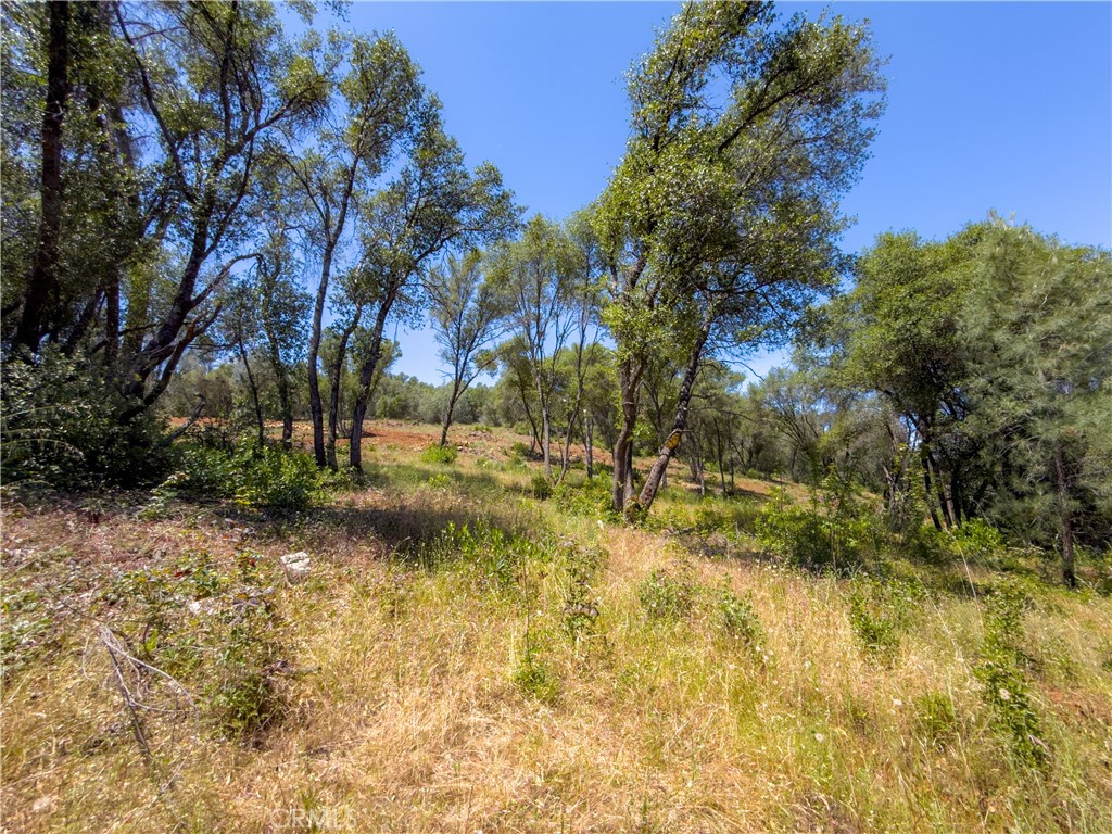 10 Miller Road, Mariposa, CA 95338