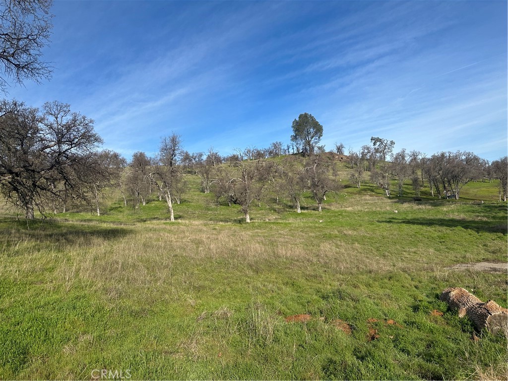3228 Wild Rose Ct, Catheys Valley, CA 95306