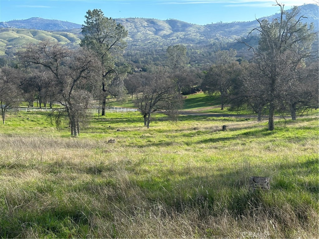 3228 Wild Rose Ct, Catheys Valley, CA 95306
